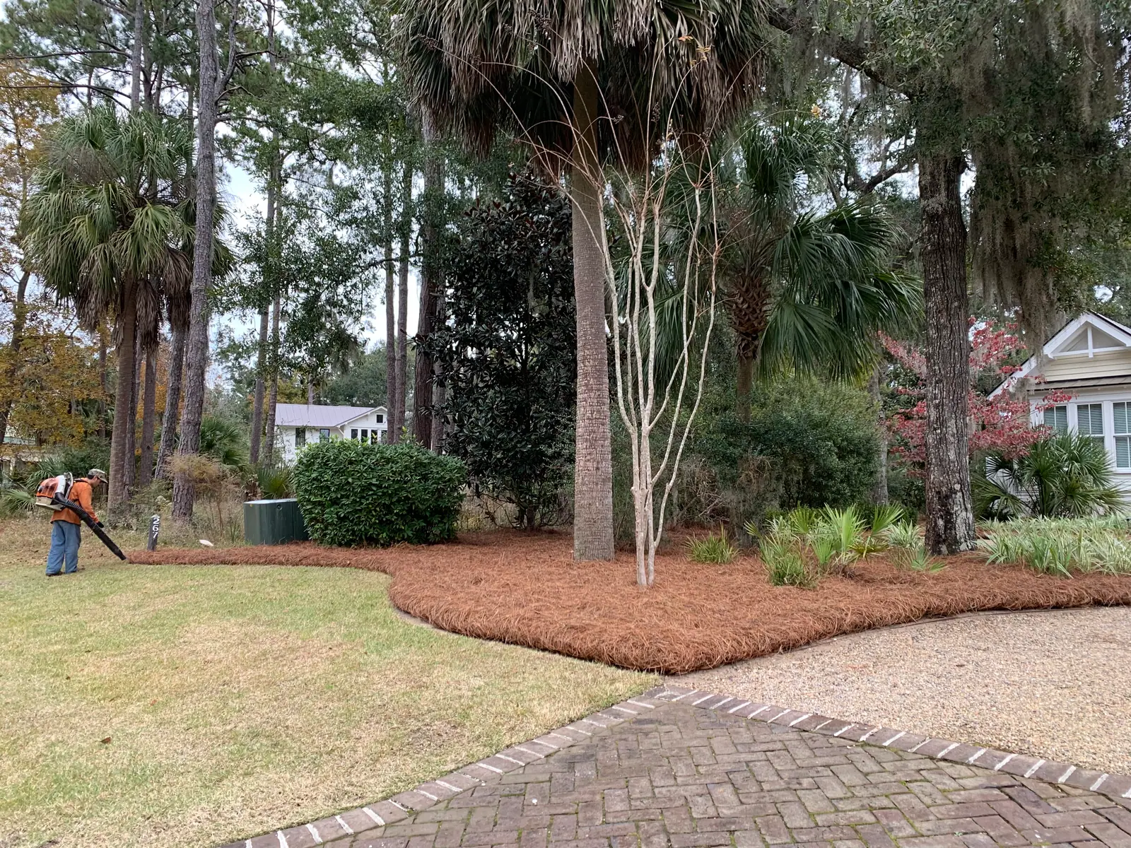 Flower beds with fresh pinestraw mulch